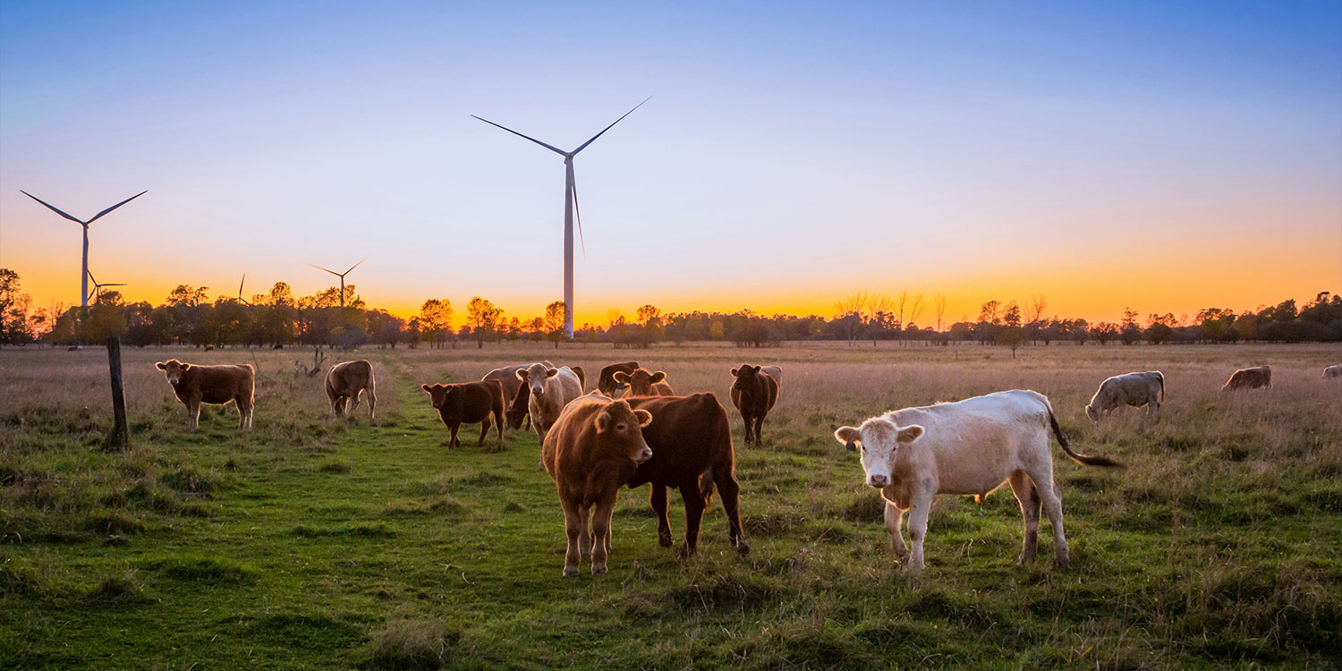 AG贵宾会·(中国游)集团首页